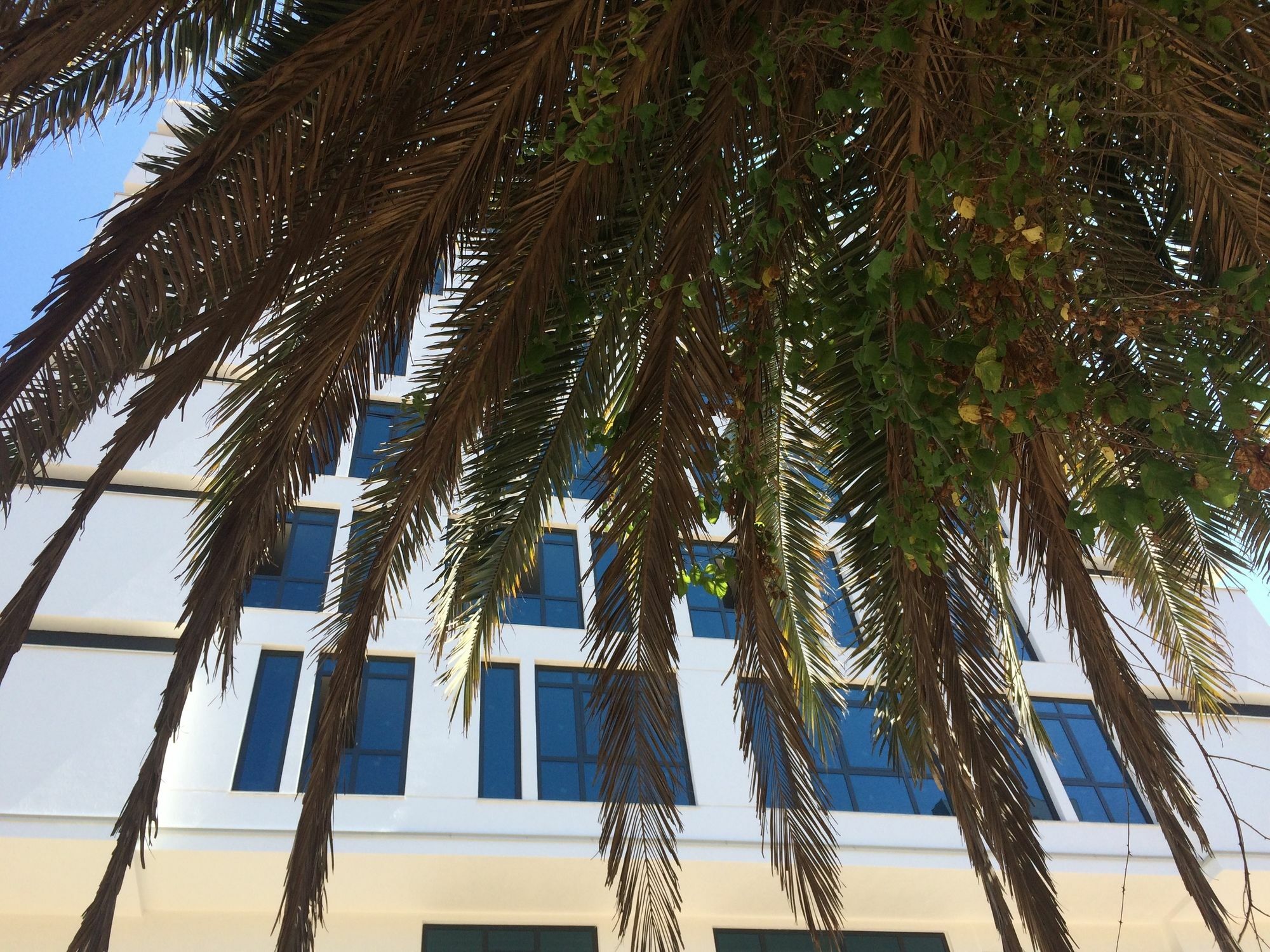 Aselia Hotel Trabzon Exteriör bild